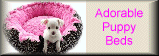 adorable dog beds