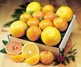 florida citris gift basket